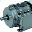 3 phase electric motors | CHT motors | Carpanelli Motors