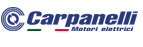 More about Carpanelli Motori Elettrici, partner of MAK Aandrijvingen.